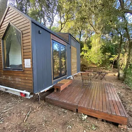 Tiny Clariana By Tiny Away